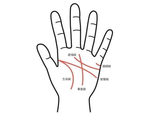 感情線智慧線相連|手相怎麼看？感情線、智慧線、生命線在哪裡？長度、走向入門解。